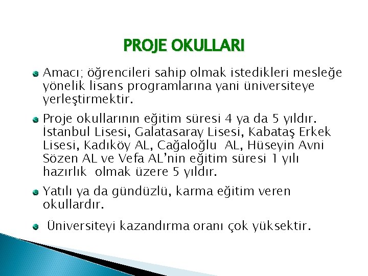 PROJE OKULLARI Amacı; öğrencileri sahip olmak istedikleri mesleğe yönelik lisans programlarına yani üniversiteye yerleştirmektir.