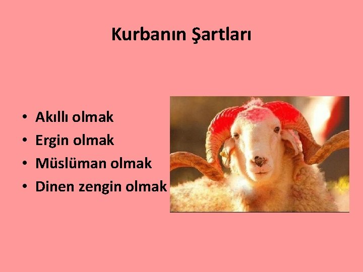 Kurbanın Şartları • • Akıllı olmak Ergin olmak Müslüman olmak Dinen zengin olmak 