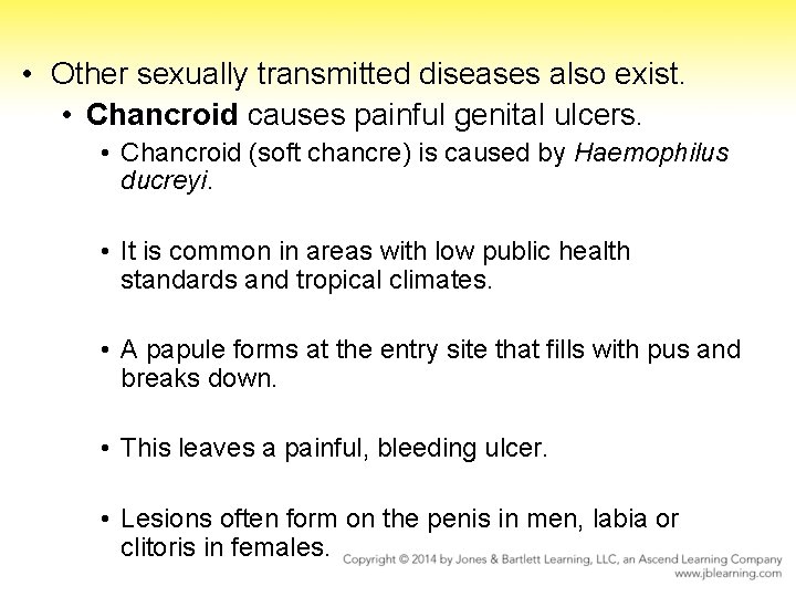  • Other sexually transmitted diseases also exist. • Chancroid causes painful genital ulcers.