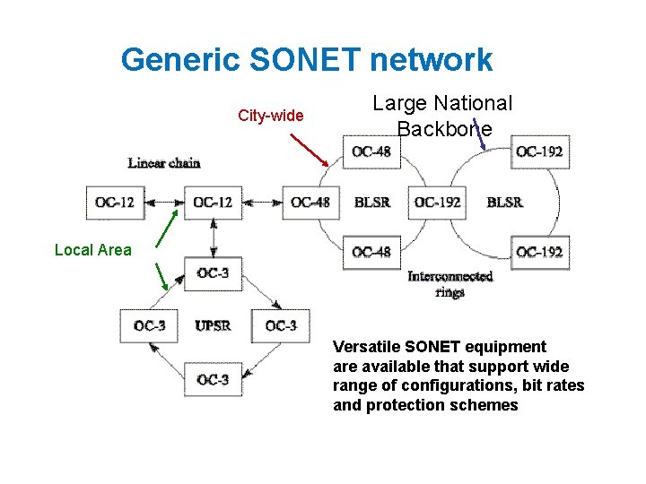 Generic SONET network City-wide Large National Backbone Local Area Versatile SONET equipment are available