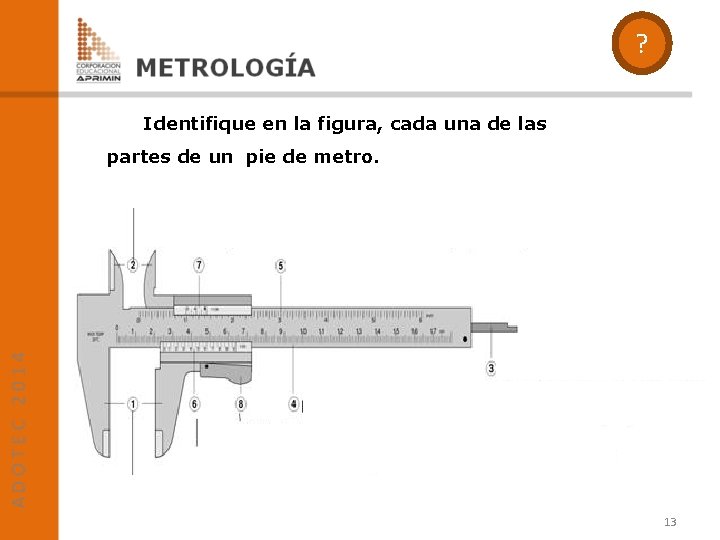 ? Identifique en la figura, cada una de las partes de un pie de