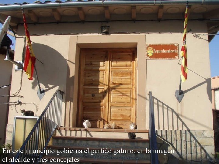 En este municipio gobierna el partido gatuno, en la imagen el alcalde y tres