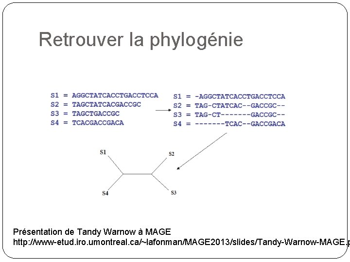 Retrouver la phylogénie Présentation de Tandy Warnow à MAGE http: //www-etud. iro. umontreal. ca/~lafonman/MAGE