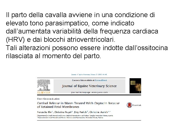 Il parto della cavalla avviene in una condizione di elevato tono parasimpatico, come indicato