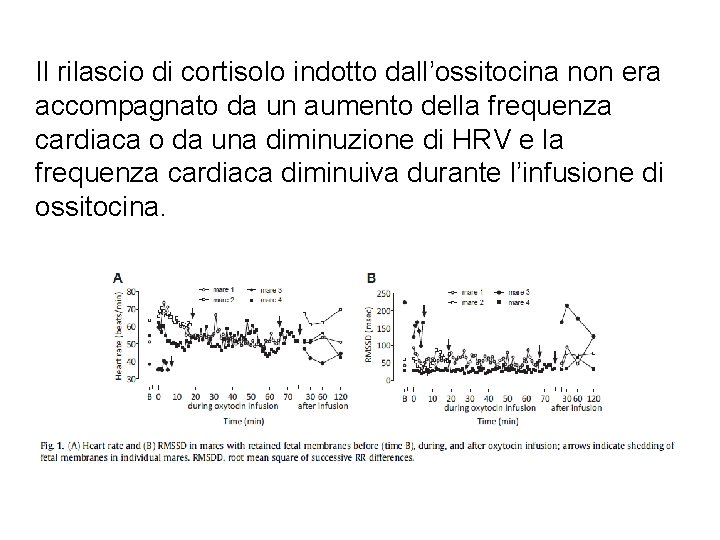 Il rilascio di cortisolo indotto dall’ossitocina non era accompagnato da un aumento della frequenza