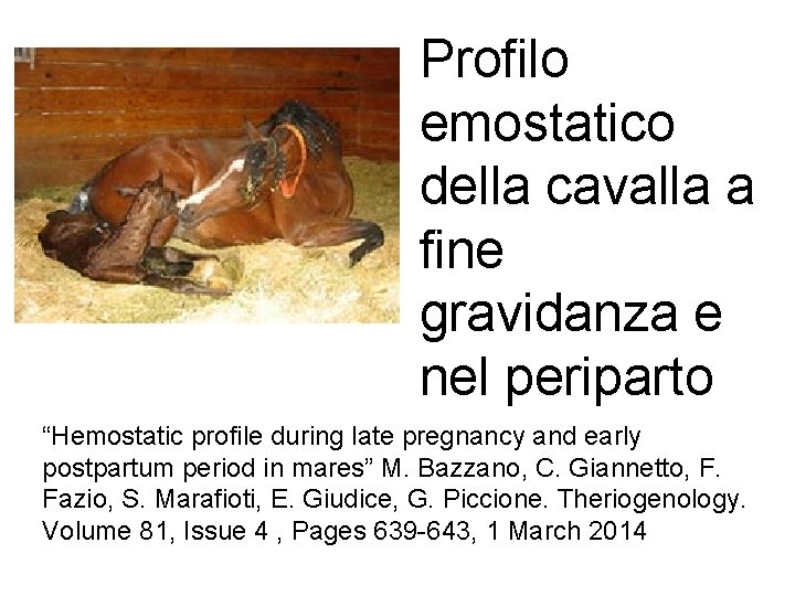 Profilo emostatico della cavalla a fine gravidanza e nel periparto “Hemostatic profile during late