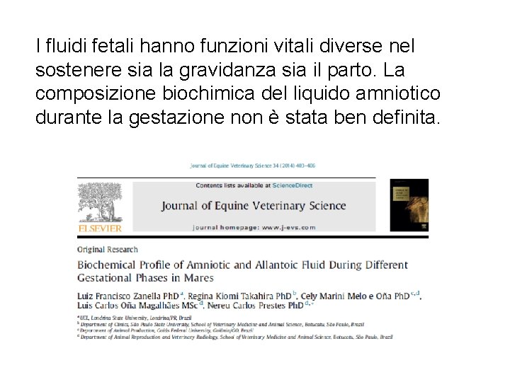 I fluidi fetali hanno funzioni vitali diverse nel sostenere sia la gravidanza sia il