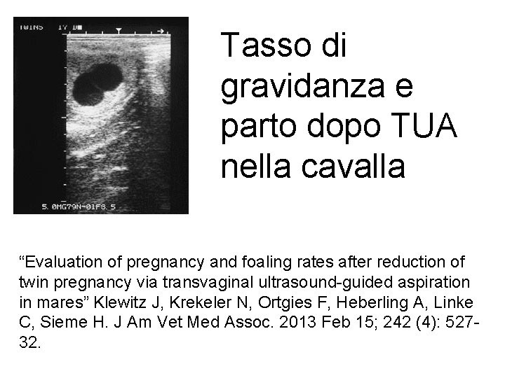 Tasso di gravidanza e parto dopo TUA nella cavalla “Evaluation of pregnancy and foaling