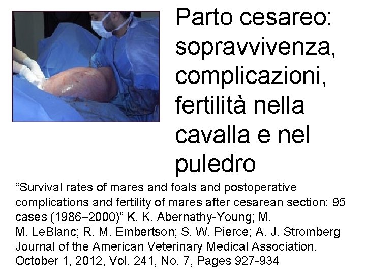 Parto cesareo: sopravvivenza, complicazioni, fertilità nella cavalla e nel puledro “Survival rates of mares