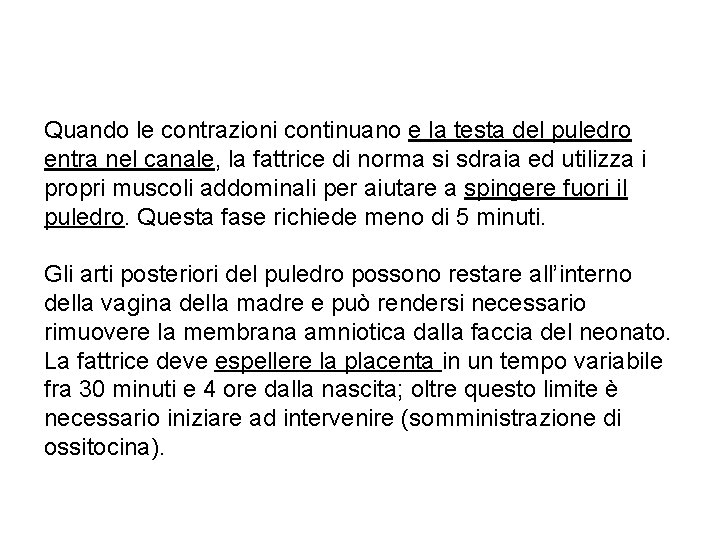 Quando le contrazioni continuano e la testa del puledro entra nel canale, la fattrice