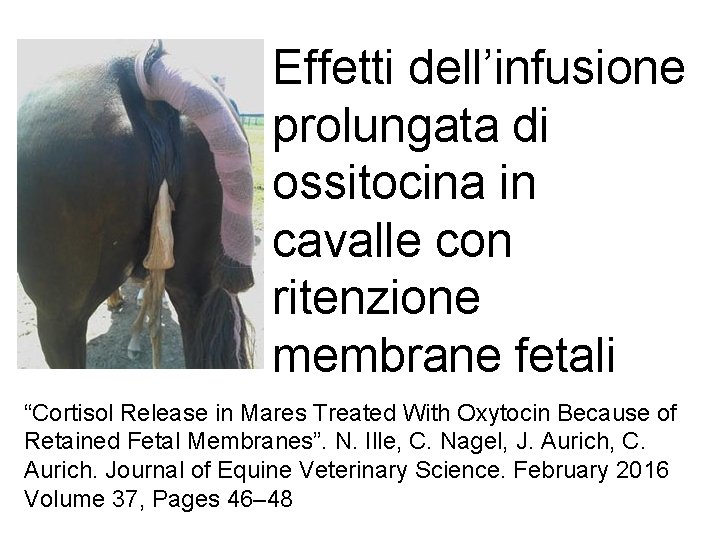 Effetti dell’infusione prolungata di ossitocina in cavalle con ritenzione membrane fetali “Cortisol Release in