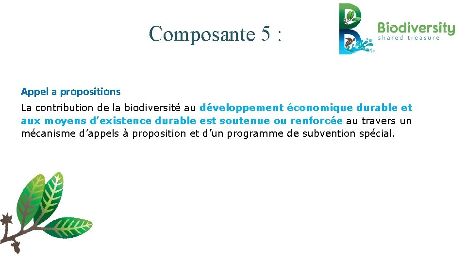 Composante 5 : Appel a propositions La contribution de la biodiversité au développement économique