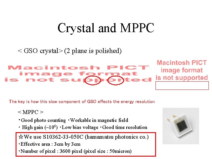 Crystal and MPPC < GSO crystal> (2 plane is polished) 20 mm× 120 mm