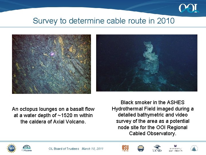 Survey to determine cable route in 2010 An octopus lounges on a basalt flow