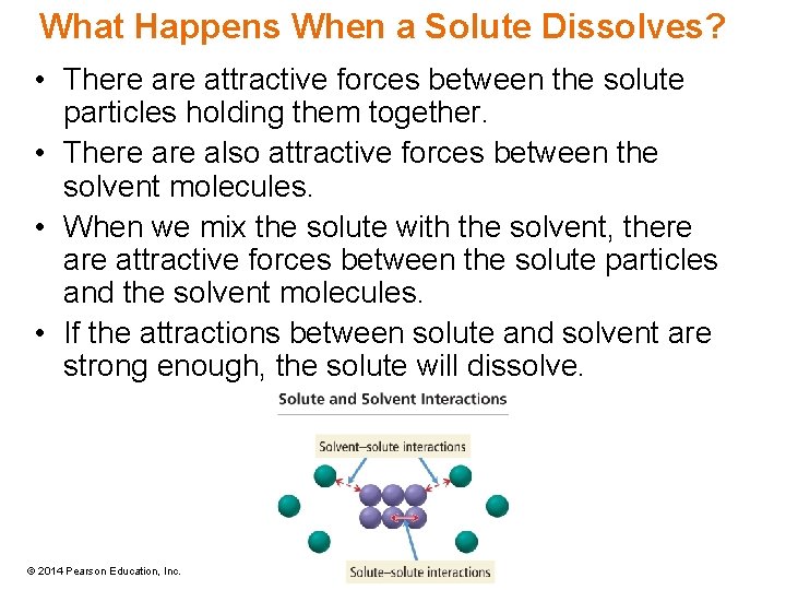 What Happens When a Solute Dissolves? • There attractive forces between the solute particles