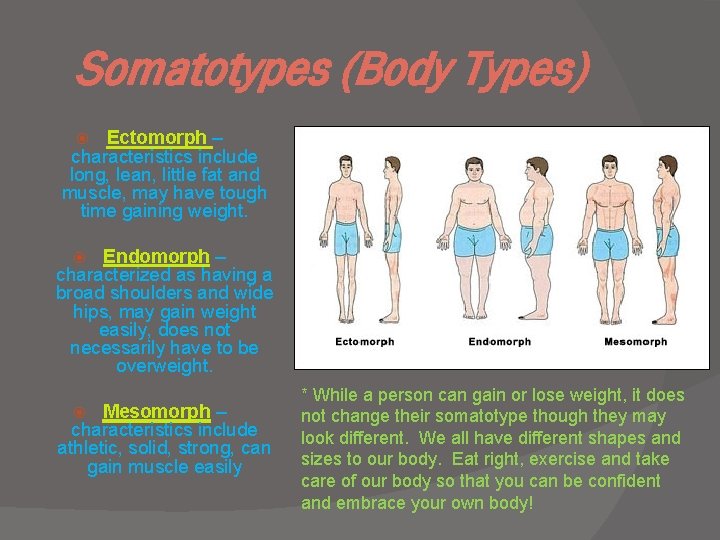 Somatotypes (Body Types) Ectomorph – characteristics include long, lean, little fat and muscle, may