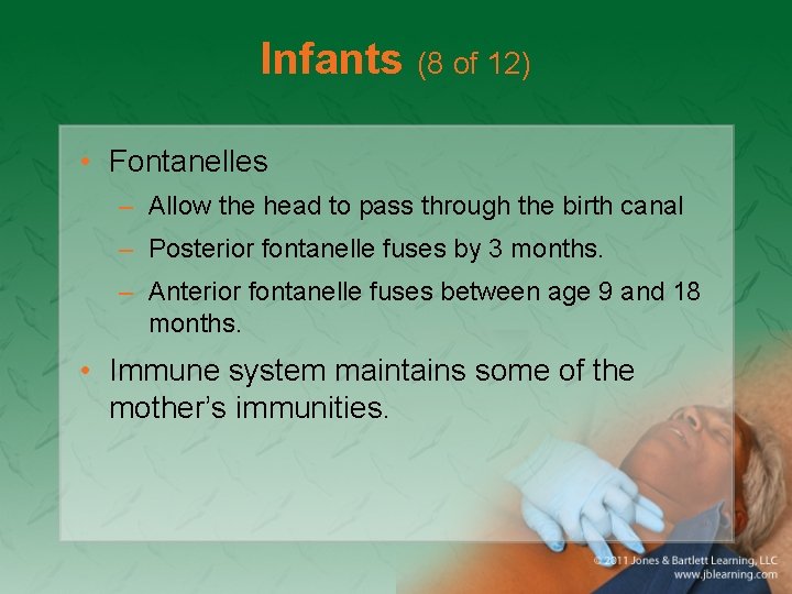 Infants (8 of 12) • Fontanelles – Allow the head to pass through the