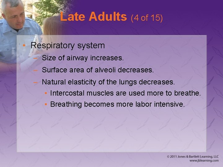 Late Adults (4 of 15) • Respiratory system – Size of airway increases. –