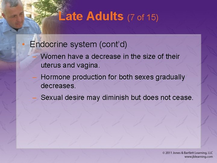 Late Adults (7 of 15) • Endocrine system (cont’d) – Women have a decrease