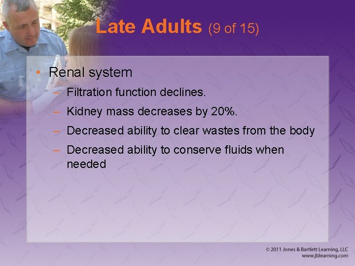 Late Adults (9 of 15) • Renal system – Filtration function declines. – Kidney
