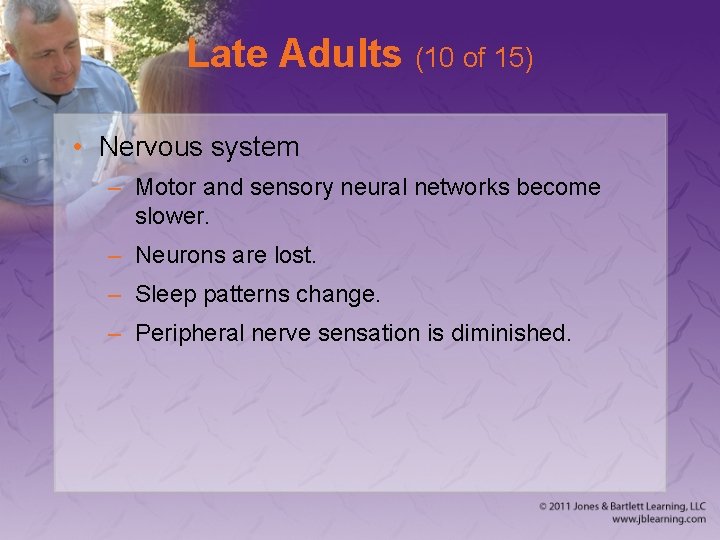 Late Adults (10 of 15) • Nervous system – Motor and sensory neural networks