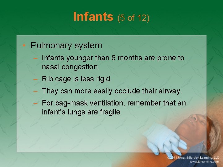 Infants (5 of 12) • Pulmonary system – Infants younger than 6 months are