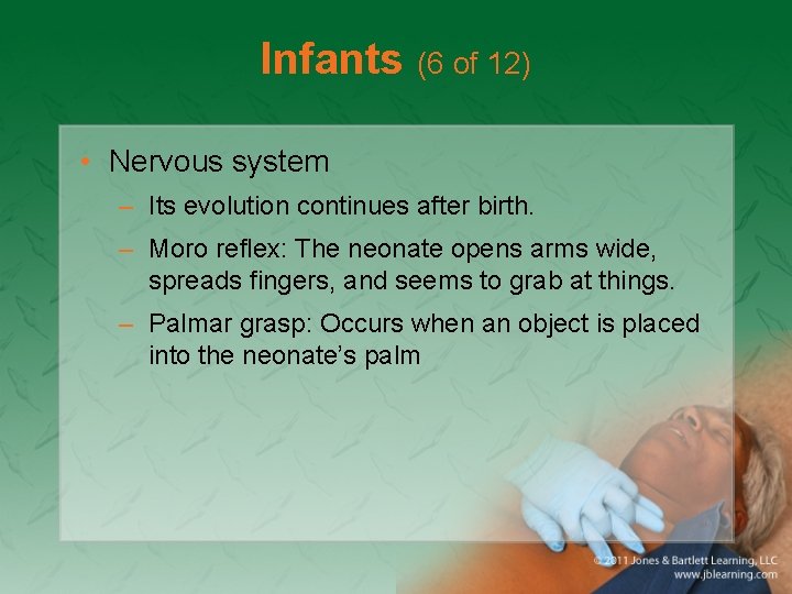Infants (6 of 12) • Nervous system – Its evolution continues after birth. –