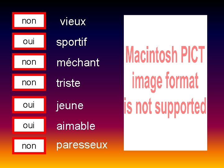 non vieux oui sportif non méchant non triste oui jeune oui aimable non paresseux