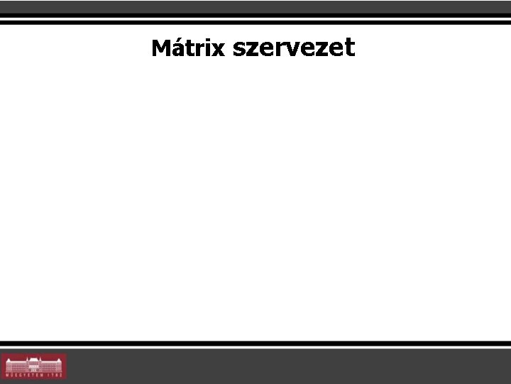 Mátrix szervezet 