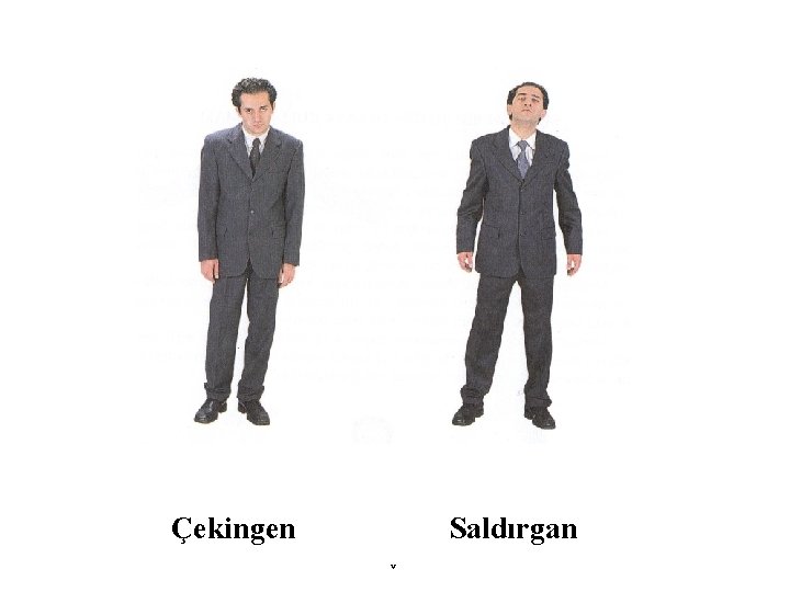 Duruş Çekingen Saldırgan v 