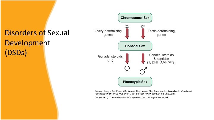 Disorders of Sexual Development (DSDs) 