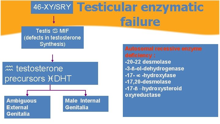 46 -XY/SRY Testicular enzymatic failure Testis MIF (defects in testosterone Synthesis) testosterone precursors DHT