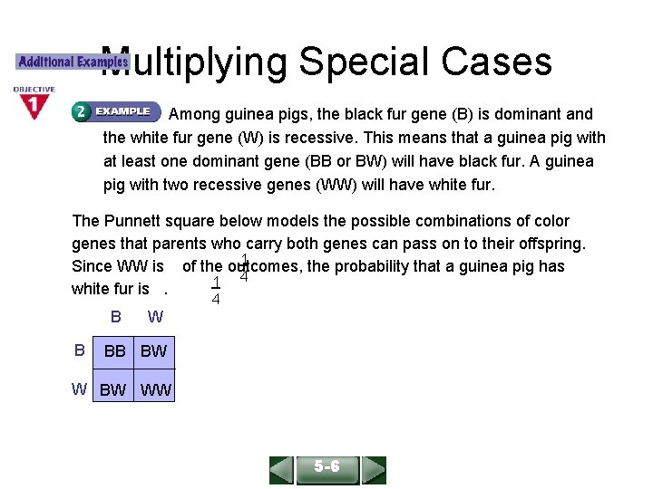 ALGEBRA 1 LESSON 9 -4 Multiplying Special Cases Among guinea pigs, the black fur