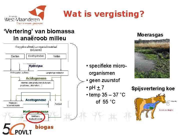 Wat is vergisting? ‘Vertering’ van biomassa in anaëroob milieu Moerasgas • specifieke microorganismen •