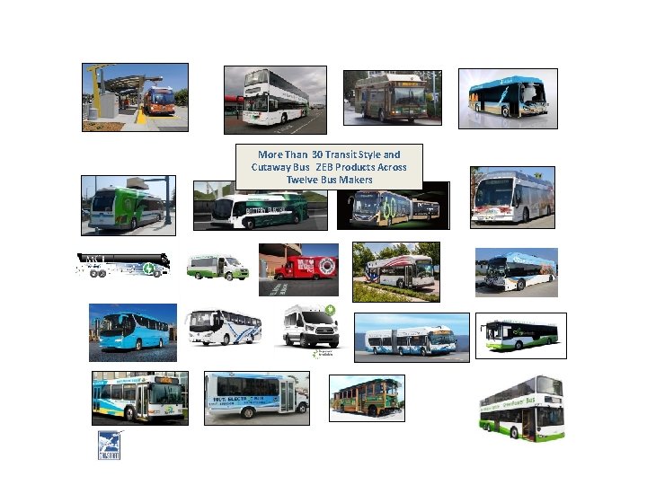 More Than 30 Transit Style and Cutaway Bus ZEB Products Across Twelve Bus Makers