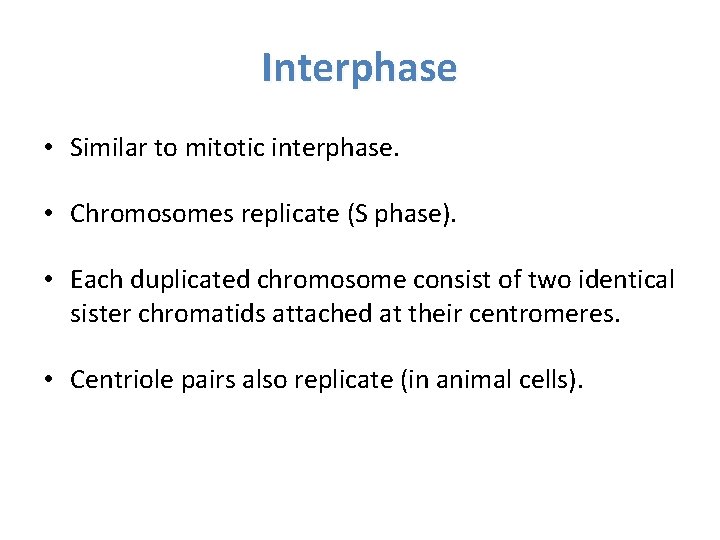 Interphase • Similar to mitotic interphase. • Chromosomes replicate (S phase). • Each duplicated Interphase • Similar to mitotic interphase. • Chromosomes replicate (S phase). • Each duplicated