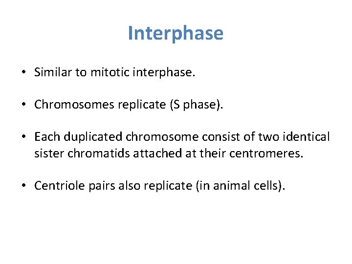 Interphase • Similar to mitotic interphase. • Chromosomes replicate (S phase). • Each duplicated