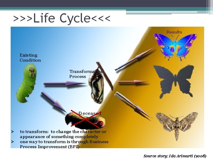 >>>Life Cycle<<< Results Existing Condition Transformation Process Deceased Ø Ø to transform: to change