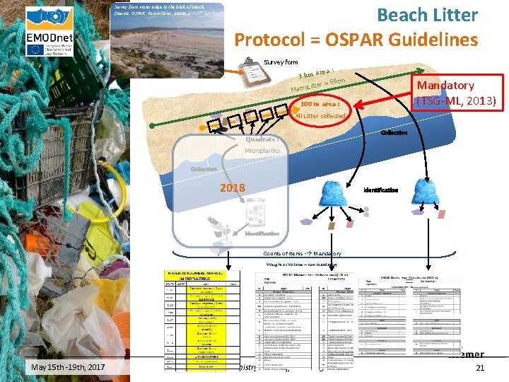 Survey from water edge to the back of beach. (Source: OSPAR, Commission, 2010 a.