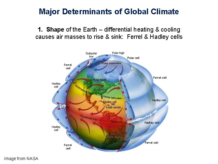 Major Determinants of Global Climate 1. Shape of the Earth – differential heating &