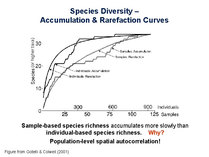 (or higher taxa) Species Diversity – Accumulation & Rarefaction Curves Sample-based species richness accumulates