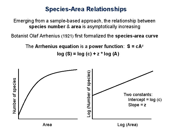 Species-Area Relationships Emerging from a sample-based approach, the relationship between species number & area