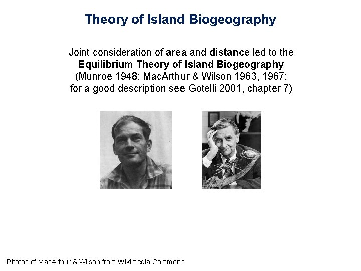 Theory of Island Biogeography Joint consideration of area and distance led to the Equilibrium