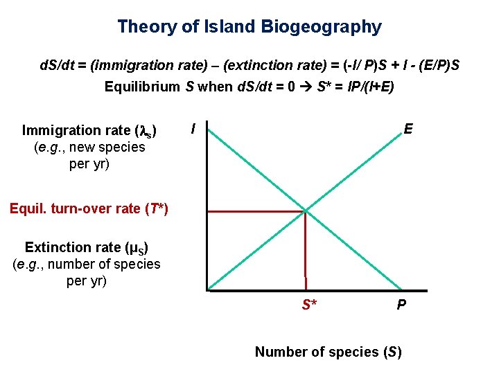Theory of Island Biogeography d. S/dt = (immigration rate) – (extinction rate) = (-I/