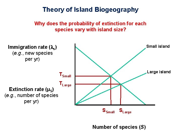 Theory of Island Biogeography Why does the probability of extinction for each species vary