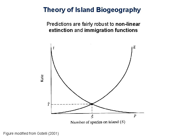 Theory of Island Biogeography Predictions are fairly robust to non-linear extinction and immigration functions