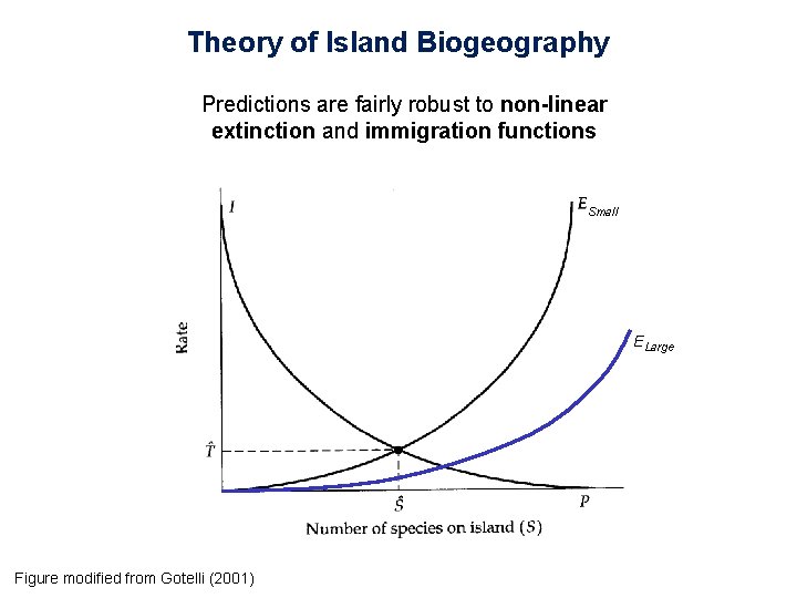 Theory of Island Biogeography Predictions are fairly robust to non-linear extinction and immigration functions