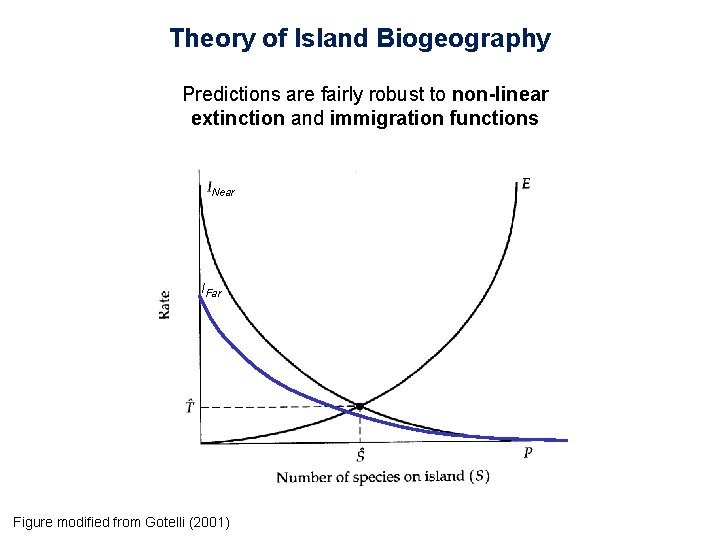 Theory of Island Biogeography Predictions are fairly robust to non-linear extinction and immigration functions