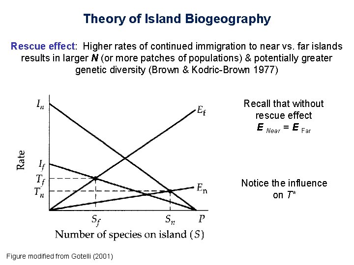 Theory of Island Biogeography Rescue effect: Higher rates of continued immigration to near vs.