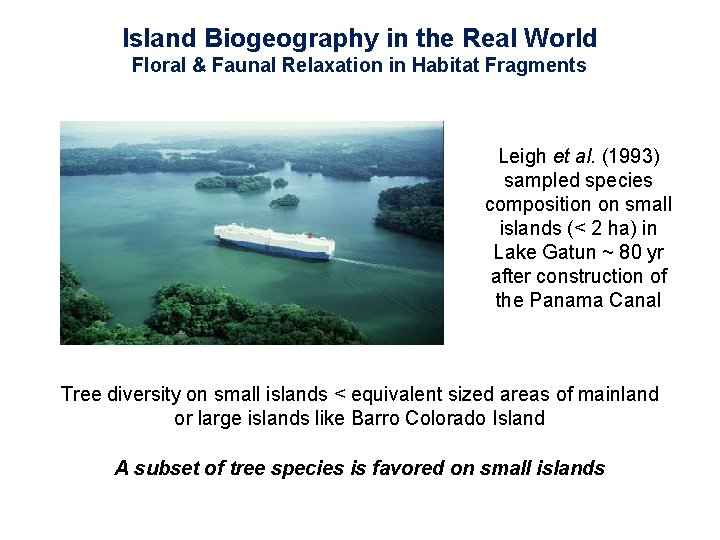 Island Biogeography in the Real World Floral & Faunal Relaxation in Habitat Fragments Leigh